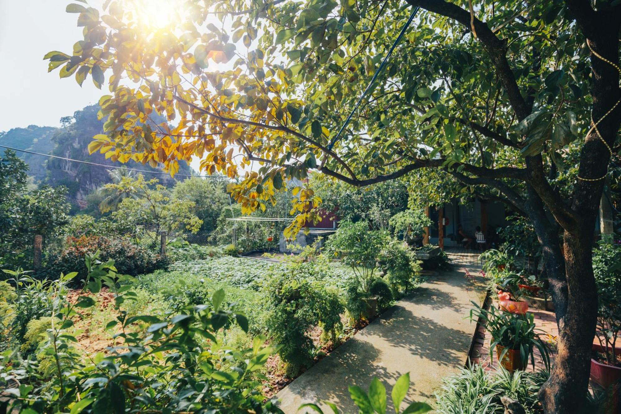 Blue Garden Homestay Ninh Binh Exteriér fotografie