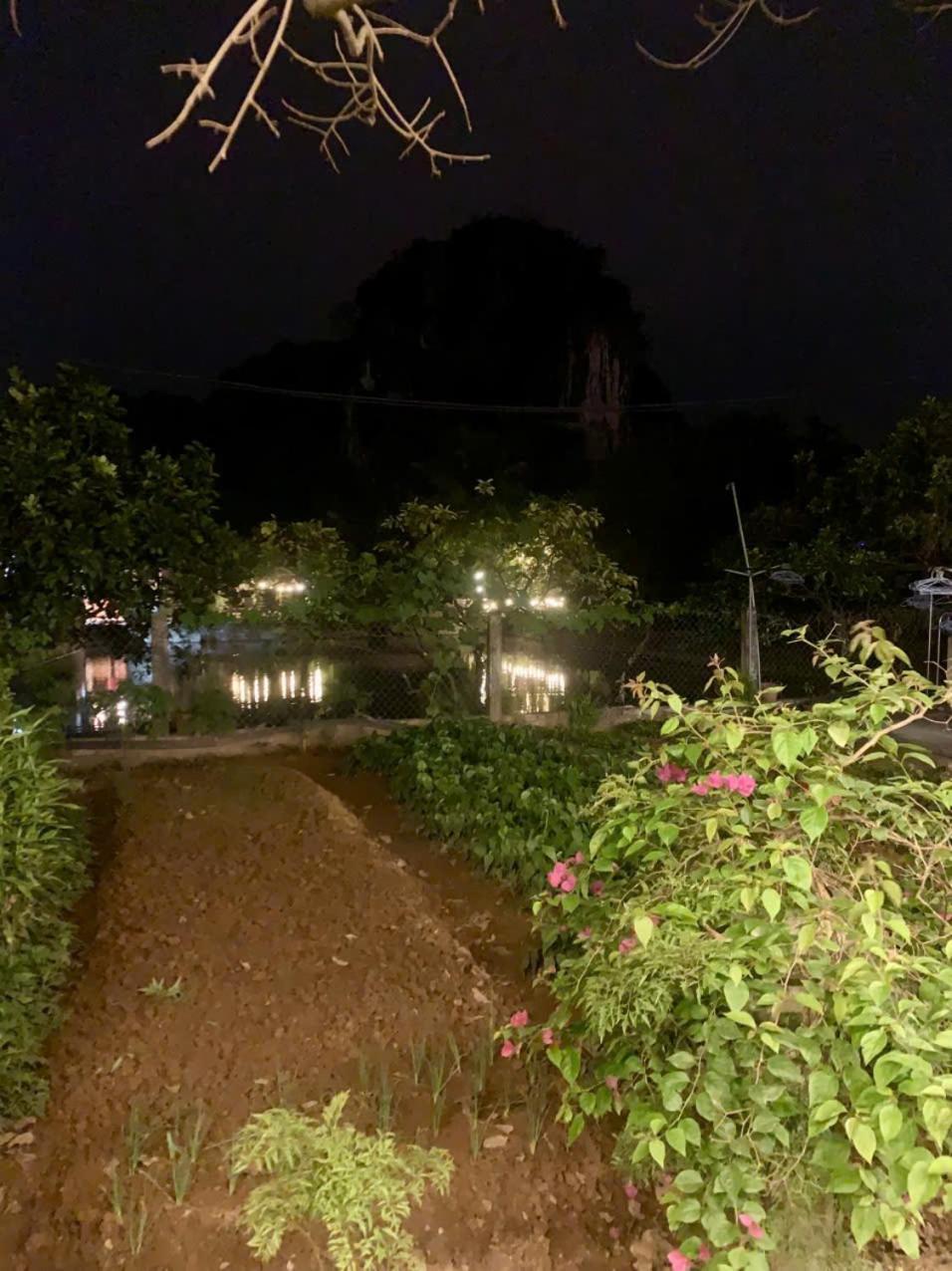 Blue Garden Homestay Ninh Binh Exteriér fotografie
