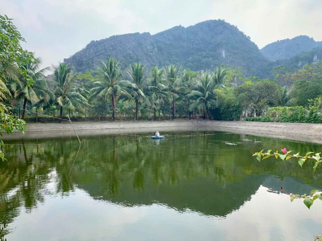 Blue Garden Homestay Ninh Binh Exteriér fotografie