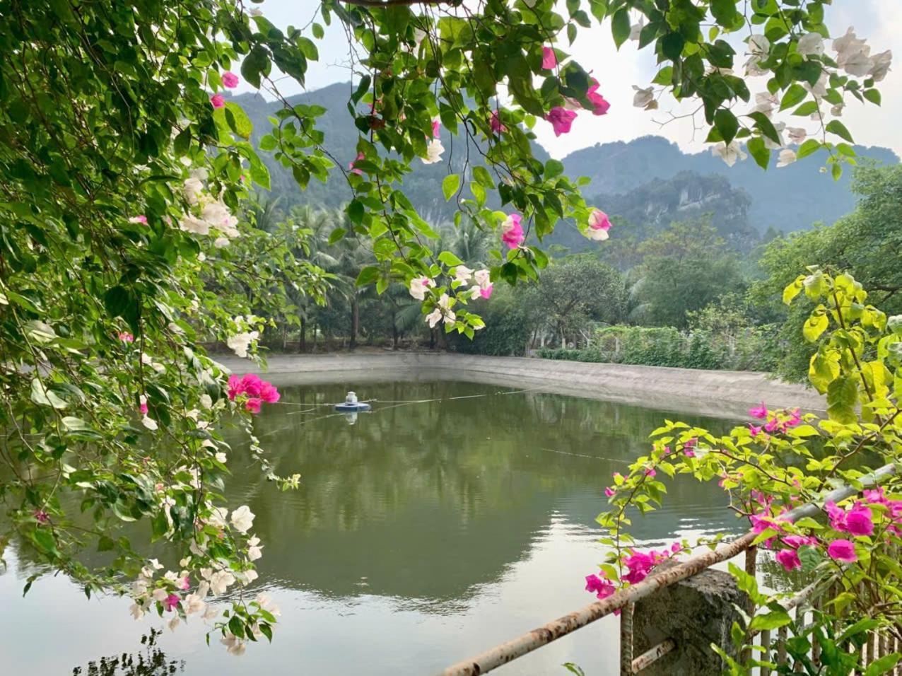 Blue Garden Homestay Ninh Binh Exteriér fotografie