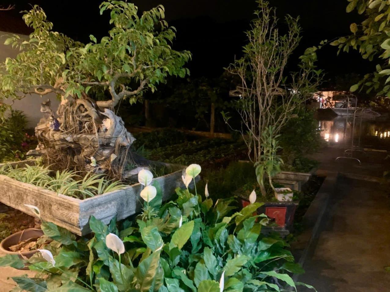 Blue Garden Homestay Ninh Binh Exteriér fotografie