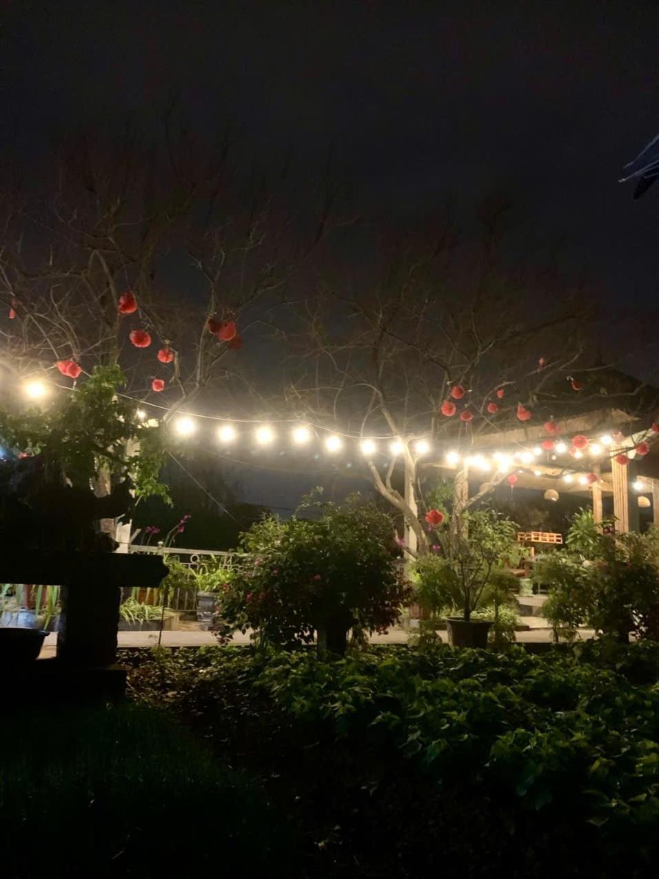 Blue Garden Homestay Ninh Binh Exteriér fotografie