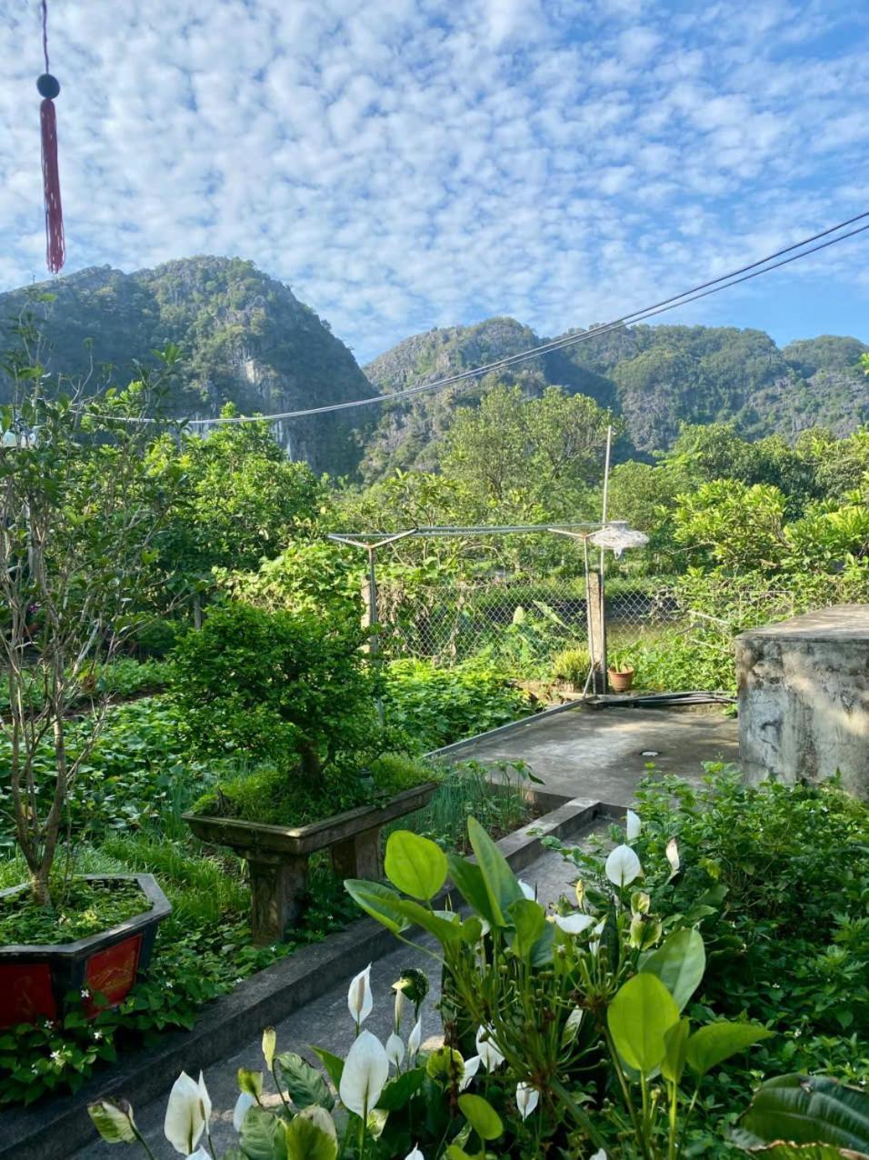 Blue Garden Homestay Ninh Binh Exteriér fotografie