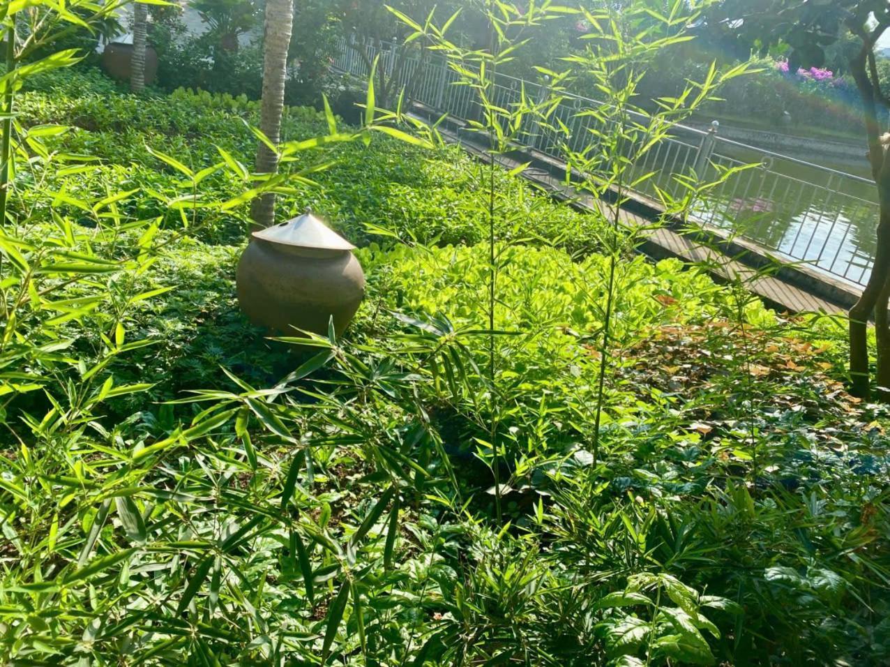 Blue Garden Homestay Ninh Binh Exteriér fotografie